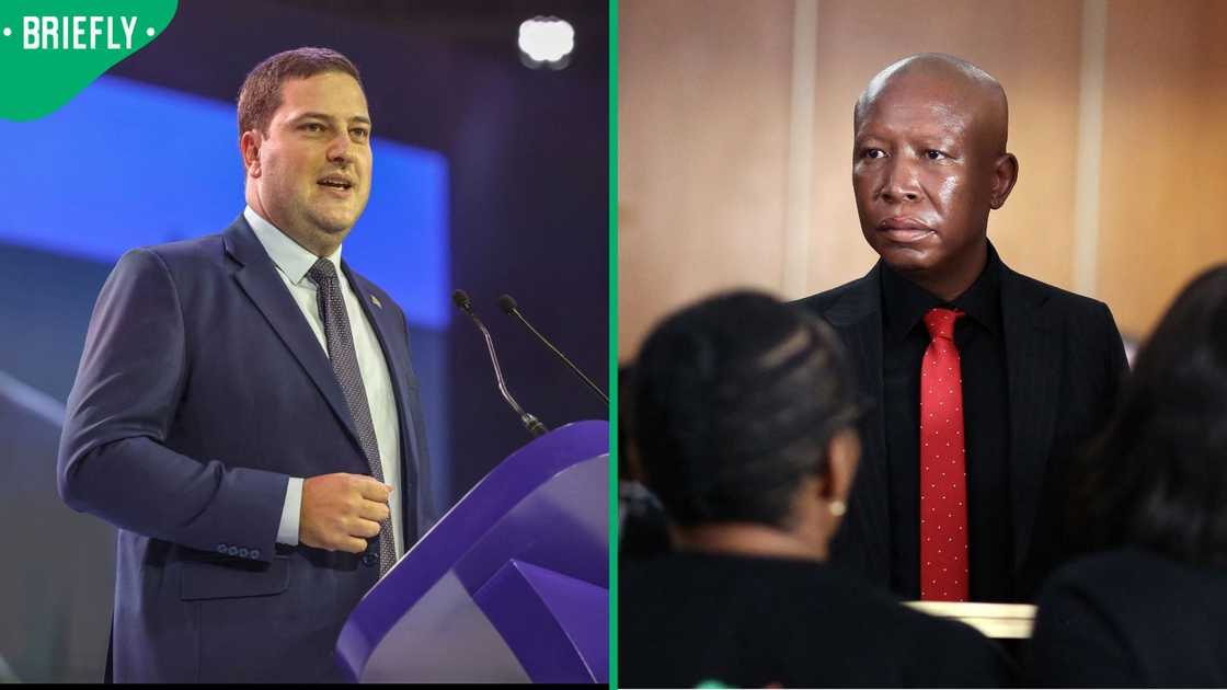 Geordin Hill-Lewis welcomed the sentence handed down to Julius Malema Geordin Hill-Lewis welcomed the sentence handed down to Julius Malema