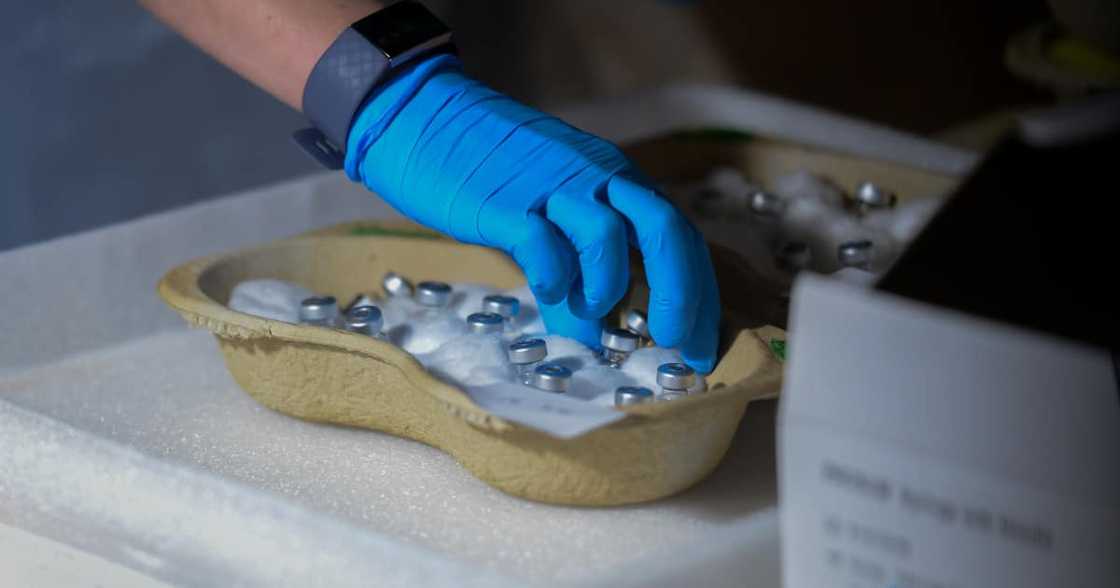 Report: Government Avoided Coronavirus Vaccine Discussions with Pfizer Report: Government Avoided Coronavirus Vaccine Discussions with Pfizer
