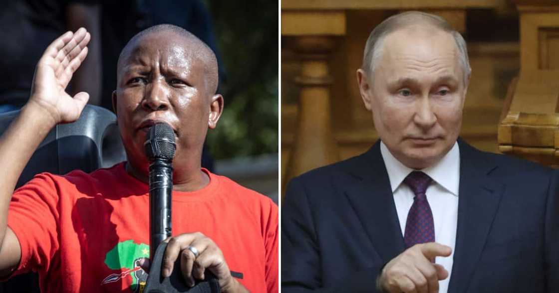 Julius Malema has dismissed the US embassy in South Africa's allegations of a secret Russia-SA arms deal Julius Malema has dismissed the US embassy in South Africa's allegations of a secret Russia-SA arms deal