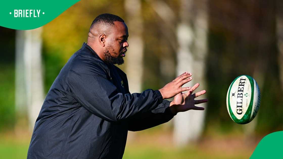 Asenathi Ntlabakanye, Springboks, South Africa Asenathi Ntlabakanye, Springboks, South Africa