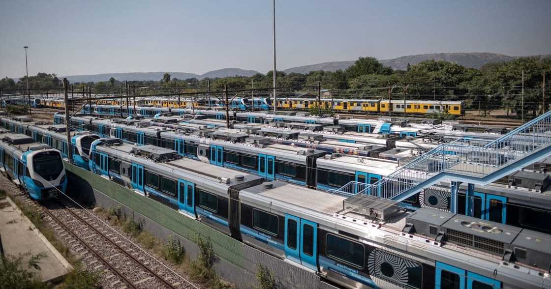 Gibb, GladAFrica, Tender contracts, Johannesburg High Court, R346.5 Million Gibb, GladAFrica, Tender contracts, Johannesburg High Court, R346.5 Million
