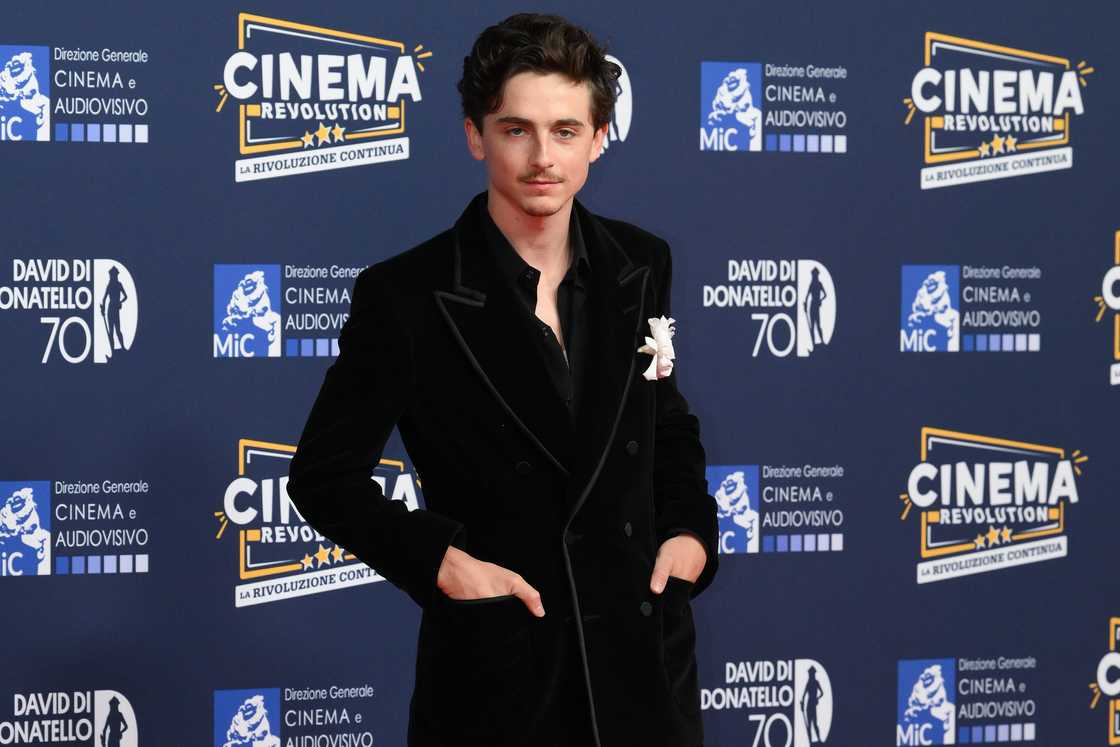 Timothée Chalamet during the red carpet for David di Donatello awards ceremony, at Teatro 5 in Cinecittà, Rome Timothée Chalamet during the red carpet for David di Donatello awards ceremony, at Teatro 5 in Cinecittà, Rome