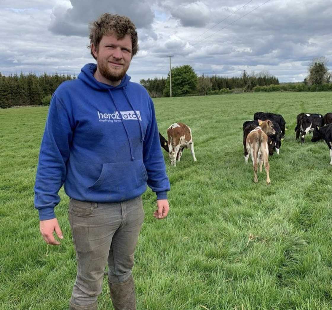 Irish farmer known as 'Farmer Phil' with his calves
