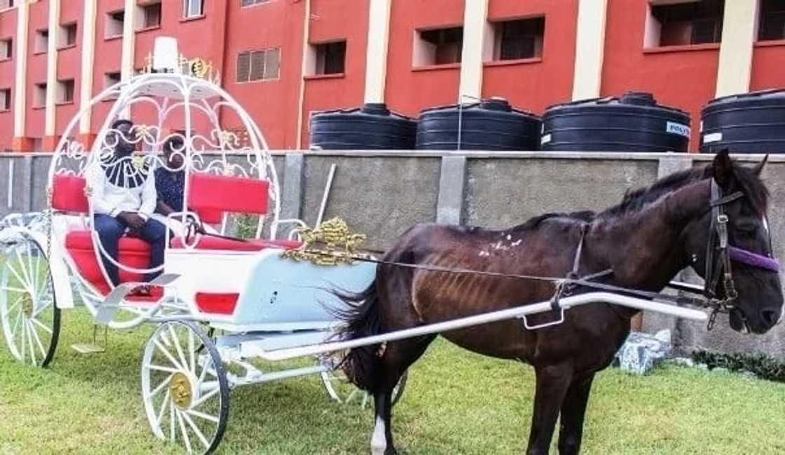 A wedding carriage A wedding carriage