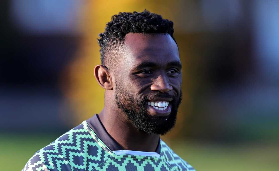 list of springbok rugby players list of springbok rugby players