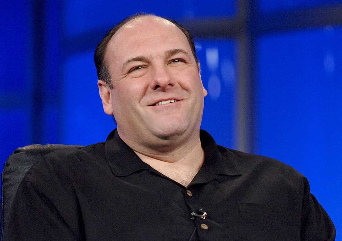 James Gandolfini’s death