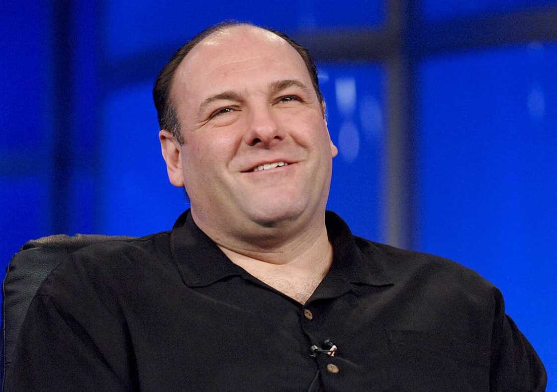James Gandolfini’s death James Gandolfini’s death