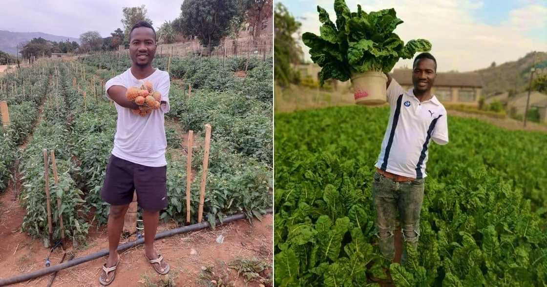 Mzansi, Mpumalanga Farmer, Born Without Hands, South Africa, Sibusiso Mogale