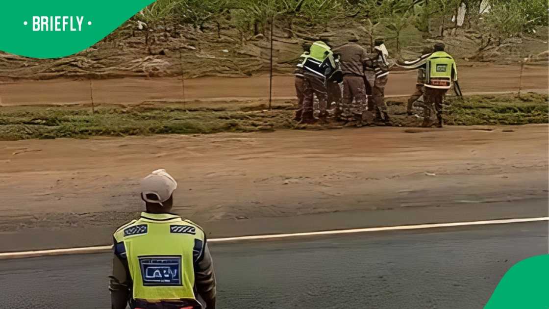 Traffic officers fight driver
