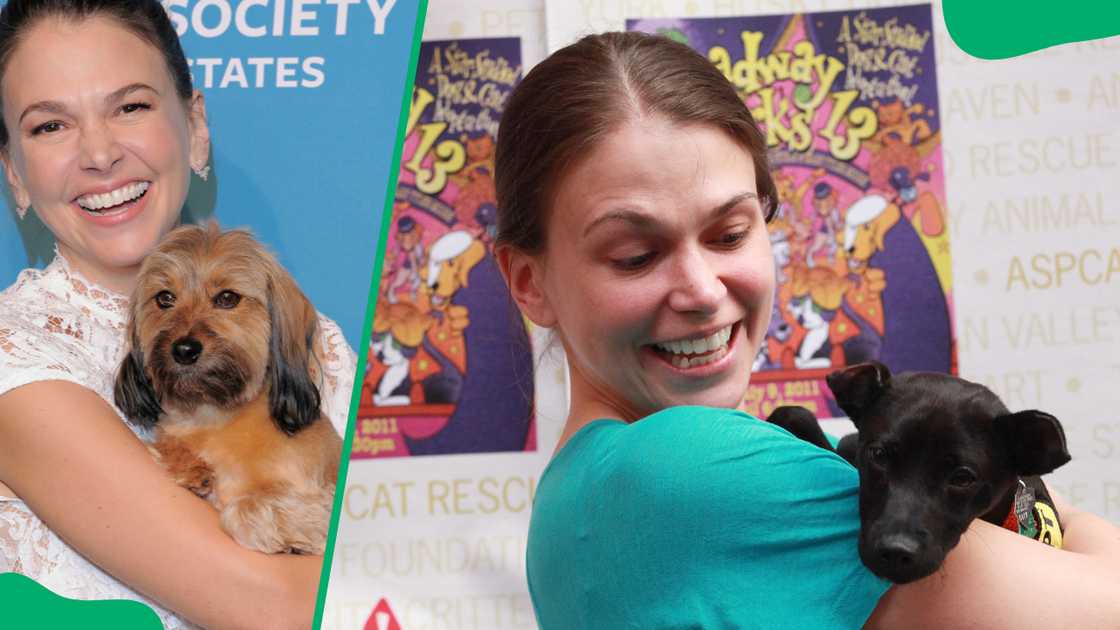Sutton Foster's dogs Sutton Foster's dogs