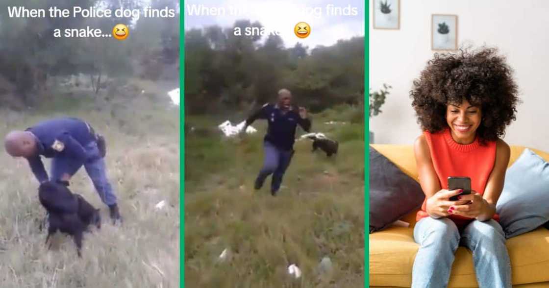 Police officer runs from snake Police officer runs from snake