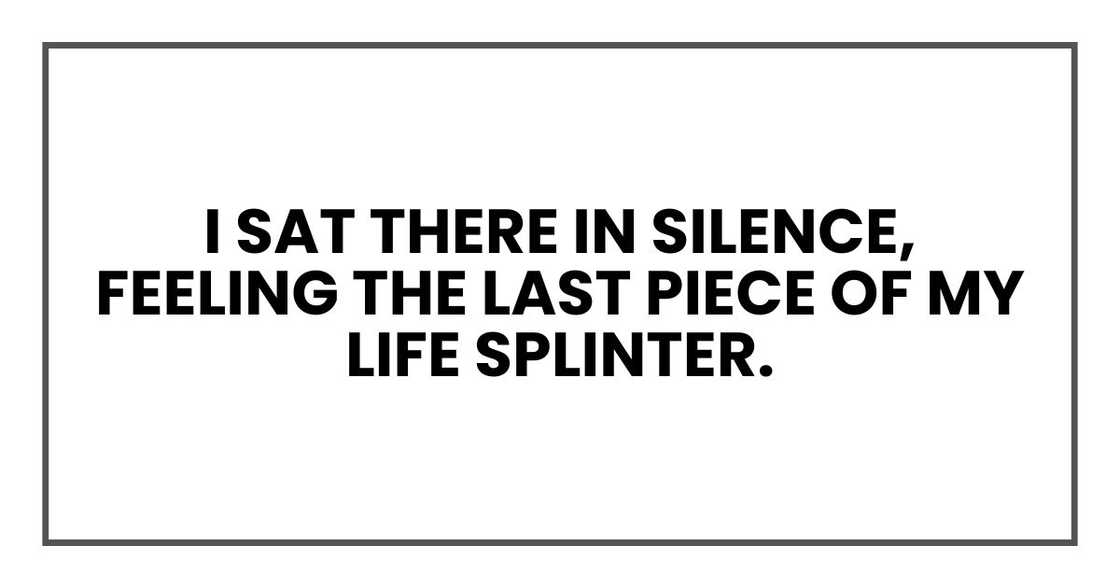 I sat there in silence, feeling the last piece of my life splinter. I sat there in silence, feeling the last piece of my life splinter.