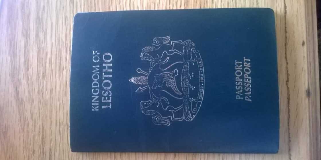 Here are the 7 most powerful passports in Africa right now