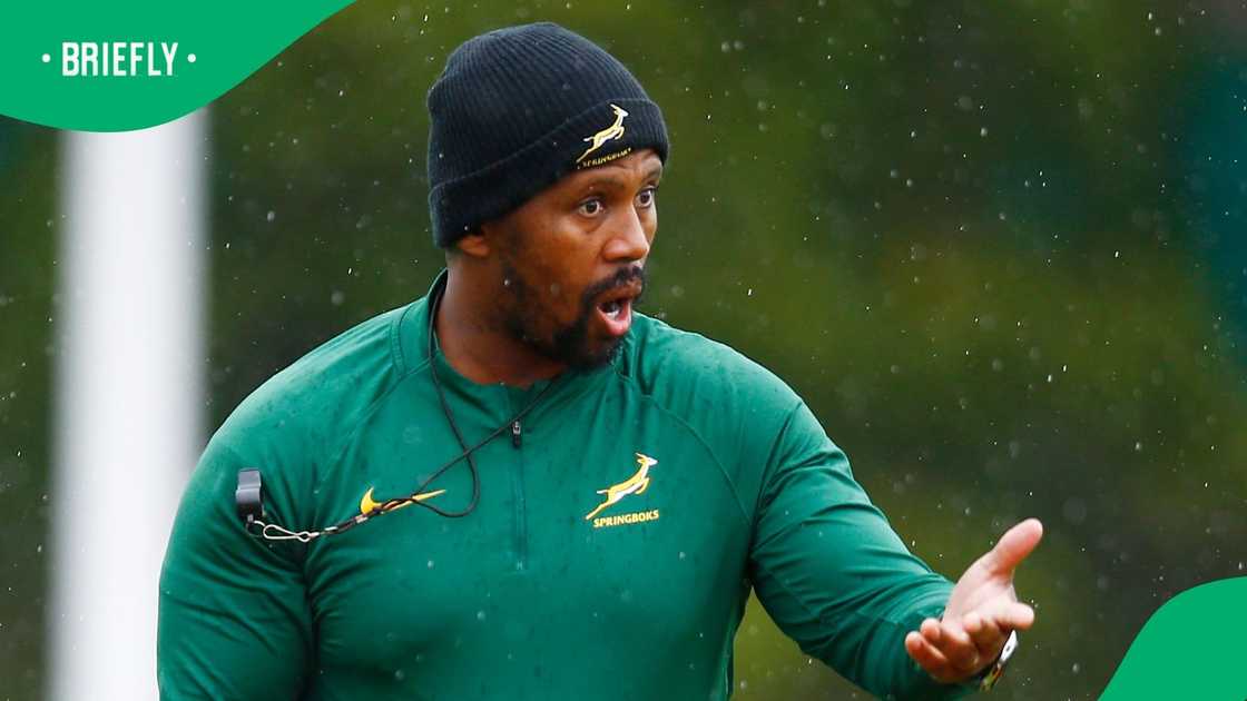 Springboks, Mzwandile Sticks, South Africa, France, Stade des Fauvettes