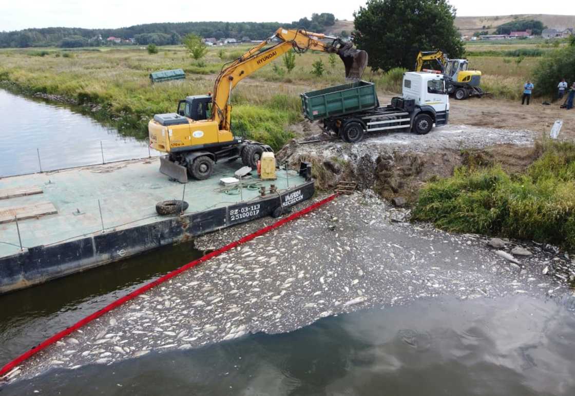 A floating dam is used to encircle dead fish on the Oder River and an escavator to remove them on August 15, 2022 after mass fish deaths taht Polish authorities say are due to toxic algae A floating dam is used to encircle dead fish on the Oder River and an escavator to remove them on August 15, 2022 after mass fish deaths taht Polish authorities say are due to toxic algae