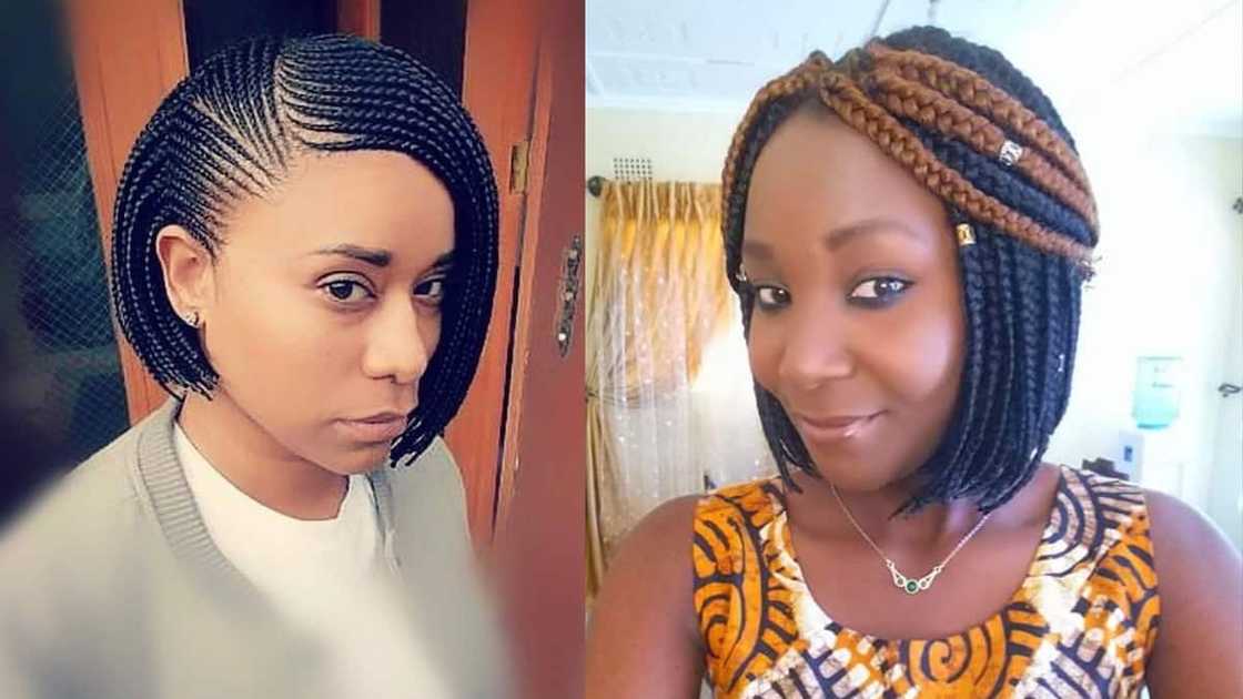 Black with a blend of brown bob braids Black with a blend of brown bob braids