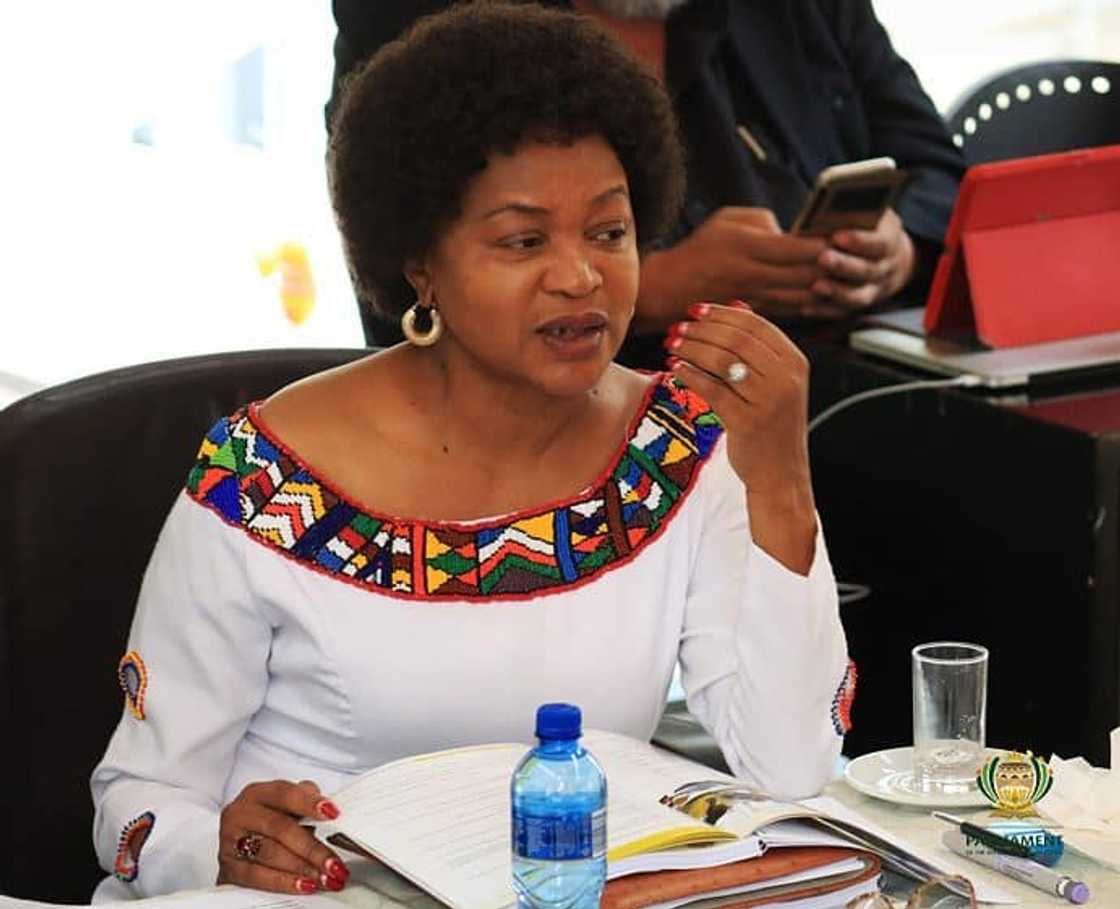 Baleka Mbete latest news