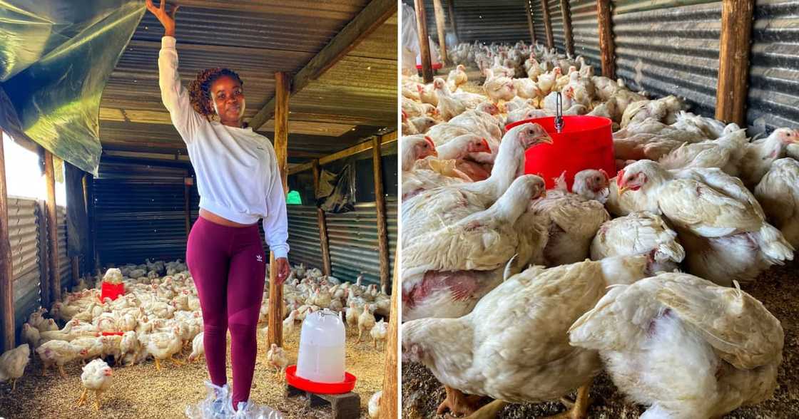 The SA actress started a chicken farm The SA actress started a chicken farm