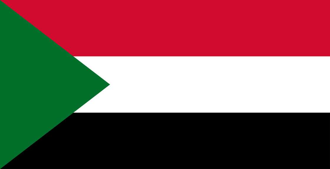 the flag of Sudan