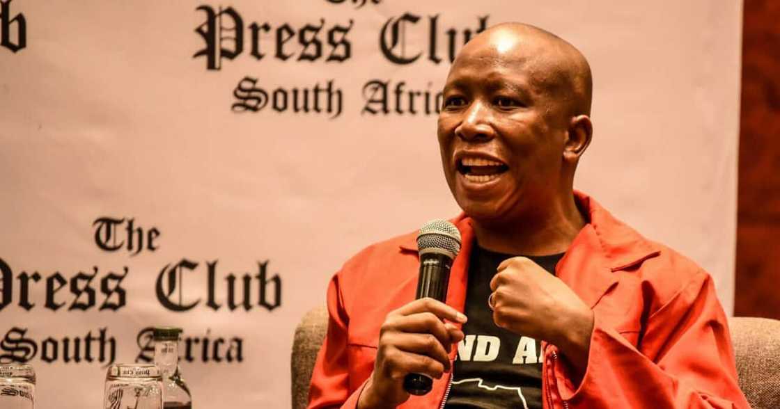 coronavirus coronavirus