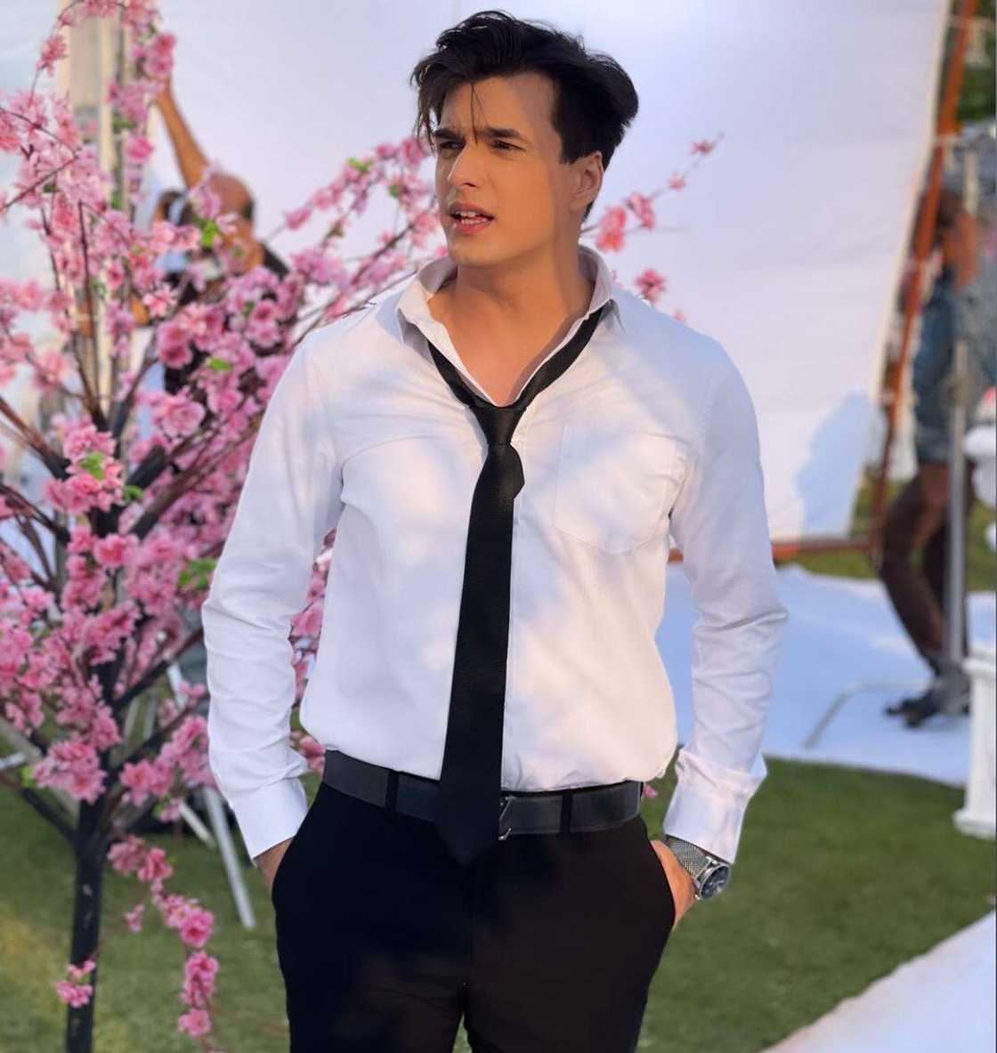 Dream Girl Starlife Dream Girl Starlife