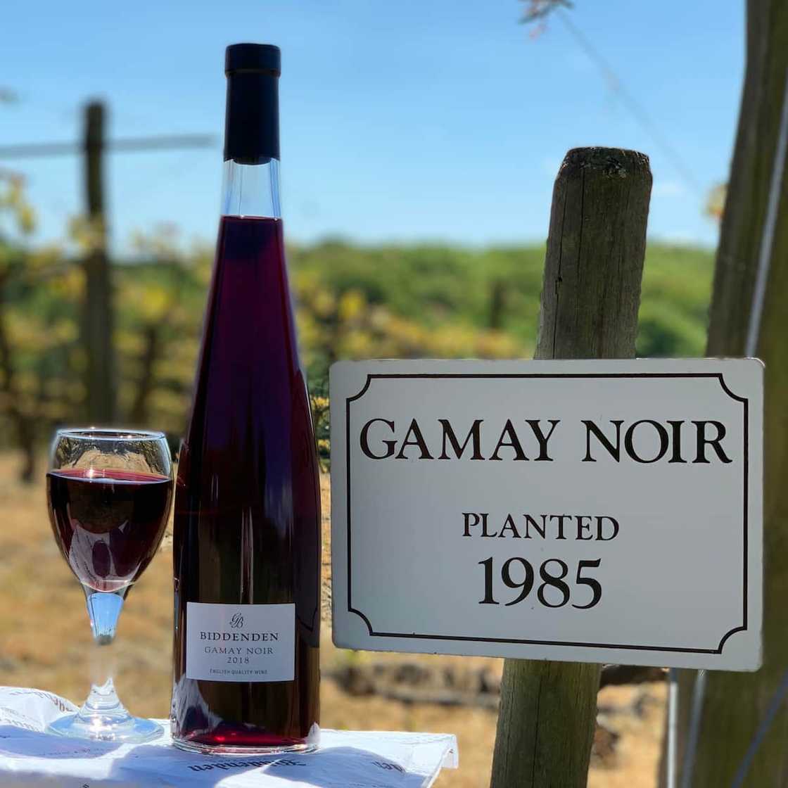 Gamay French red wine Gamay French red wine