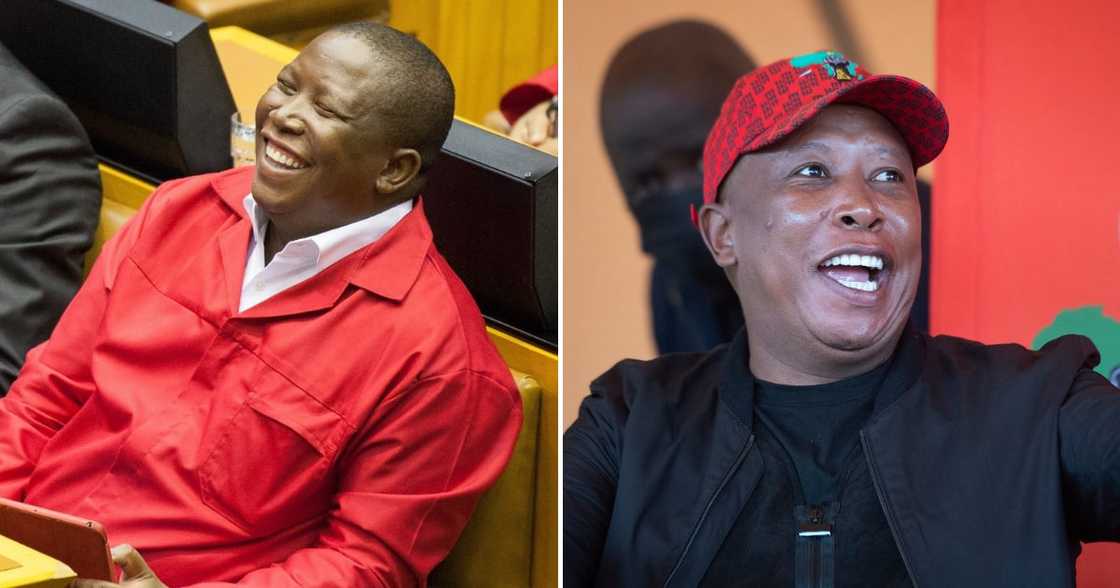 Economic Freedom Fighters, Julius Malema, viral moments Economic Freedom Fighters, Julius Malema, viral moments