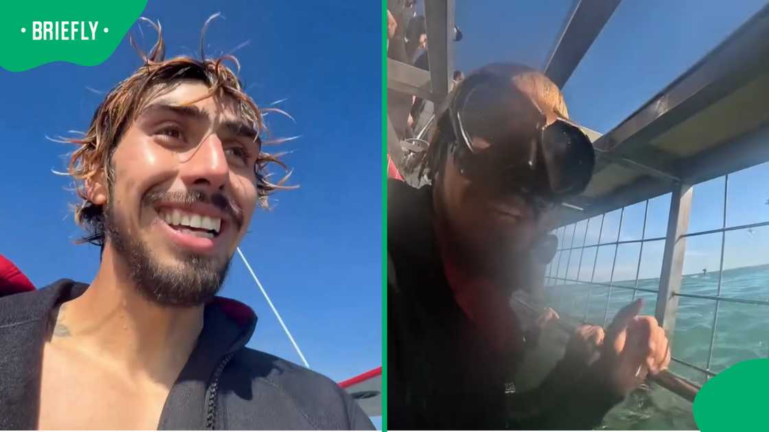 Jason Vanpoppal took on a shark cage diving experience
