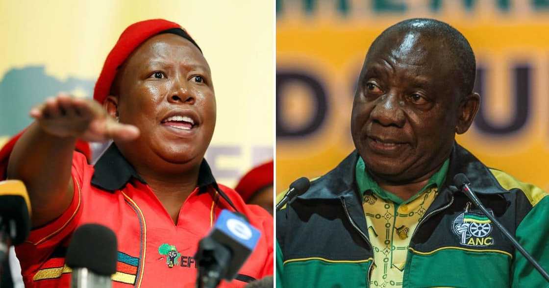 Julius Malema_Cyril Ramaphosa Julius Malema_Cyril Ramaphosa