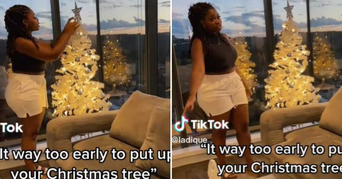 A young woman with a beautiful house is ready for Christmas and put up her tree A young woman with a beautiful house is ready for Christmas and put up her tree