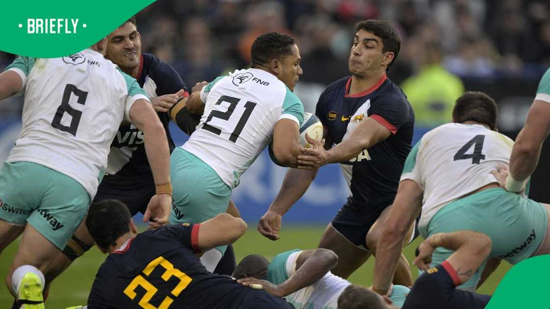 Springboks, Herschel Jantjies, Argentina, Los Pumas