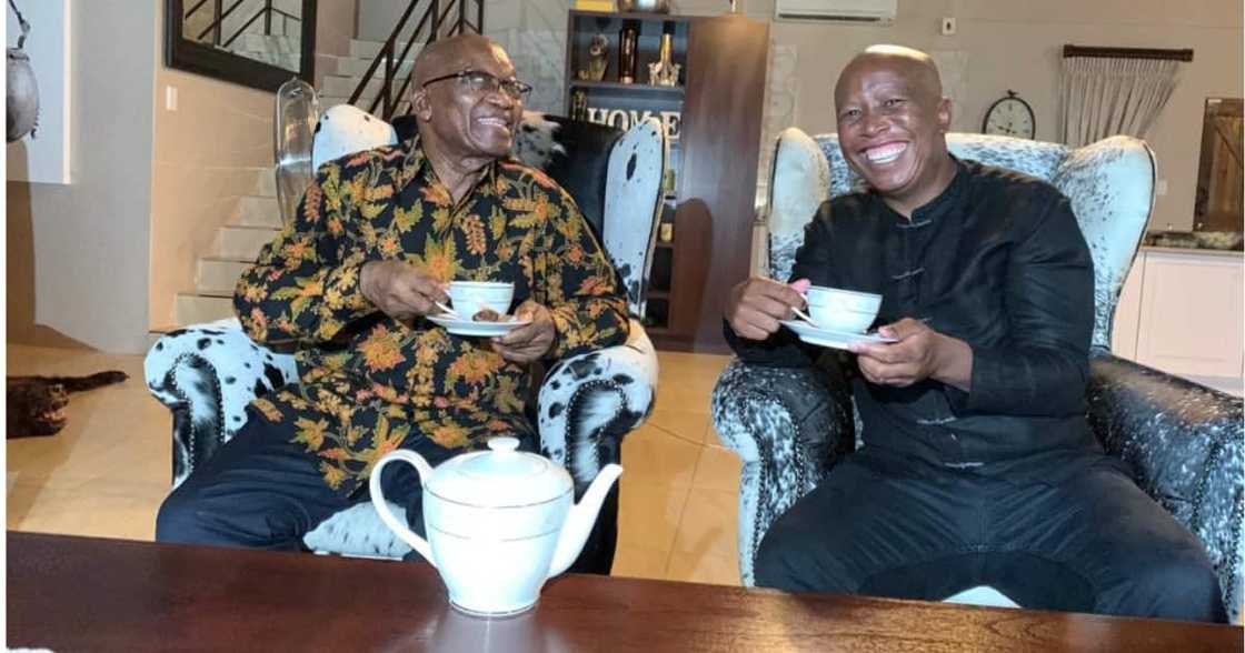 EFF shares pics of Malema and Zuma's "tea party" with Mzansi