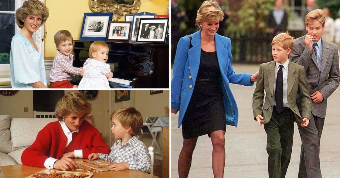 Lady Di was a loving mom to Prince Harry and William Lady Di was a loving mom to Prince Harry and William