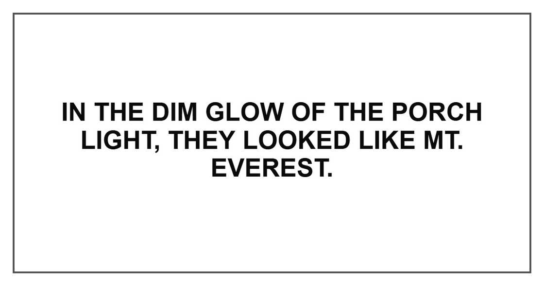 In the dim glow of the porch light, they looked like Mt. Everest. In the dim glow of the porch light, they looked like Mt. Everest.