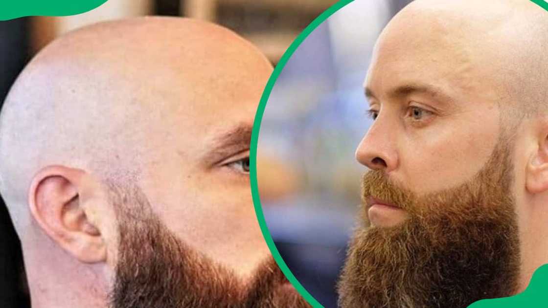 Shaved head with beard Shaved head with beard