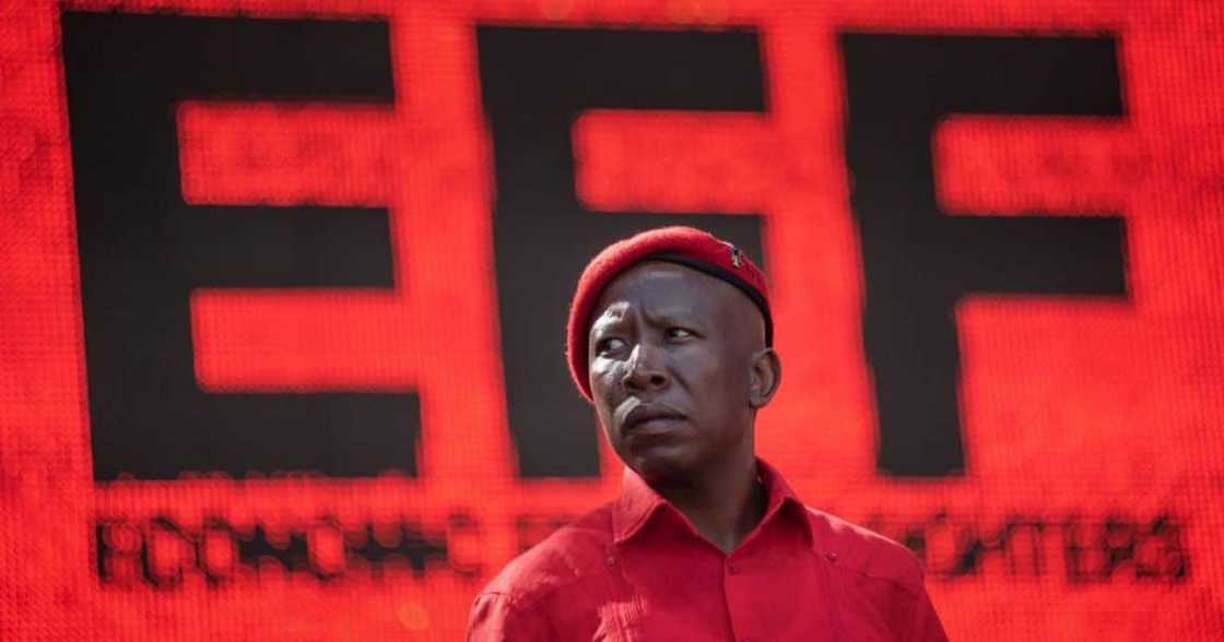Economic Freedom Fighter Leader Julius Malema Economic Freedom Fighter Leader Julius Malema