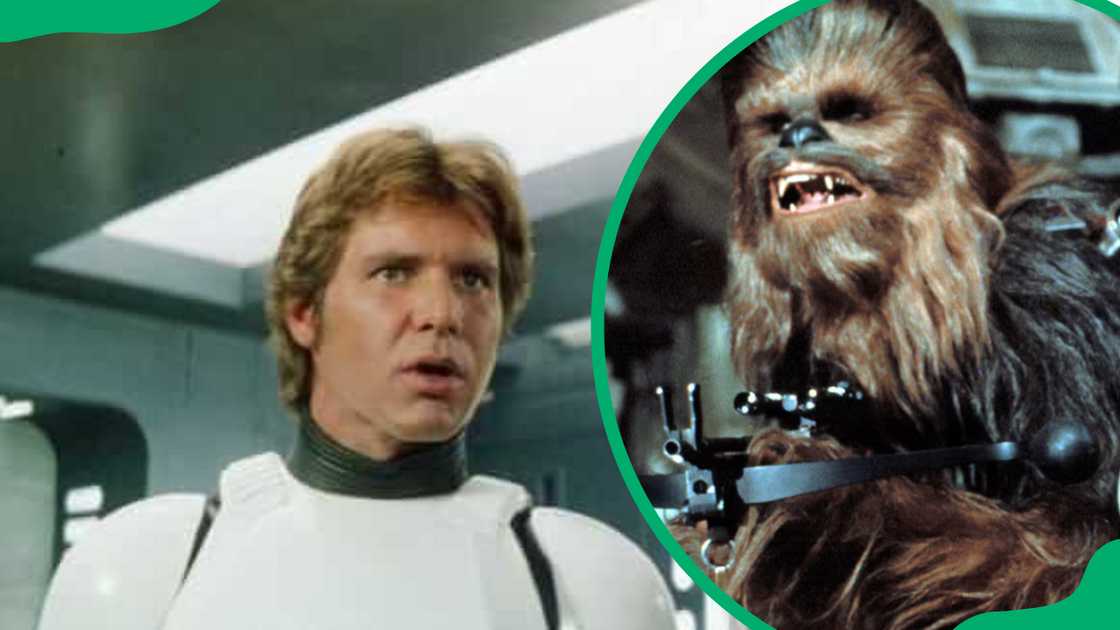 Han Solo and Chewbacca