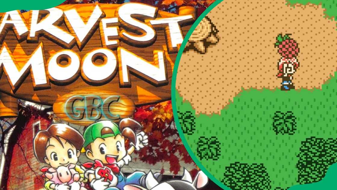 Harvest Moon 2