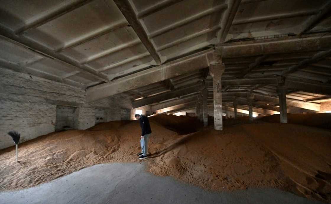 Grain prices dropped sharply in several EU states Grain prices dropped sharply in several EU states