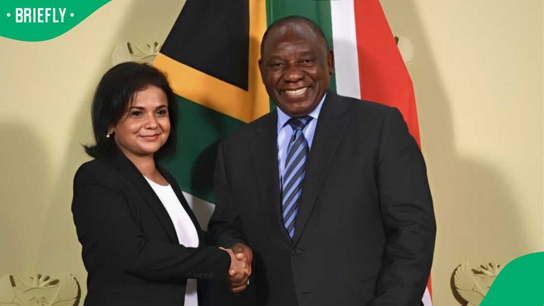The inquiry was established after Shamila Batohi's letter to President Cyril Ramaphosa