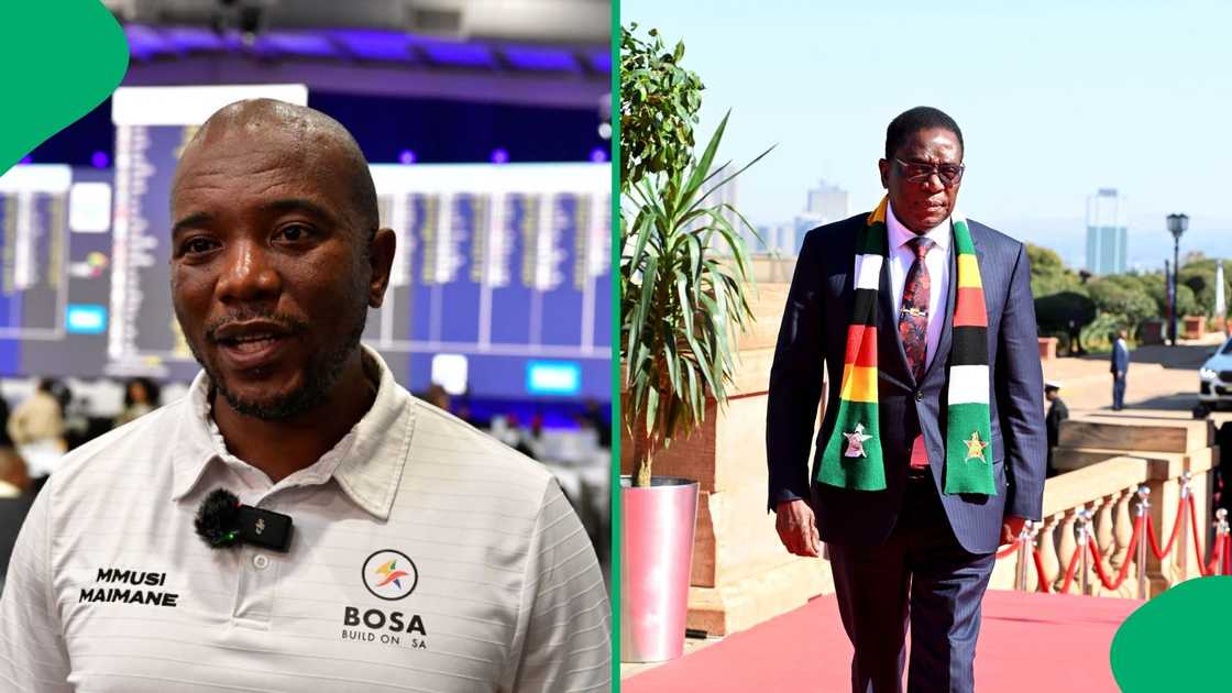 BOSA President Mmusi Maimane slammed Emmerson Mnangagwa for attending Botswana president Duma Boko's inauguration BOSA President Mmusi Maimane slammed Emmerson Mnangagwa for attending Botswana president Duma Boko's inauguration