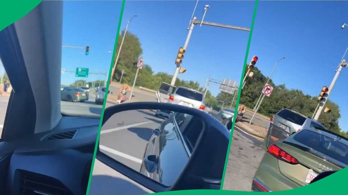 Woman in crash's vexed reaction to viral comment amuses