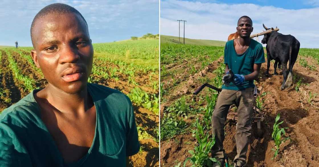 Farmer, social media, Mzansi, student, inspire Farmer, social media, Mzansi, student, inspire