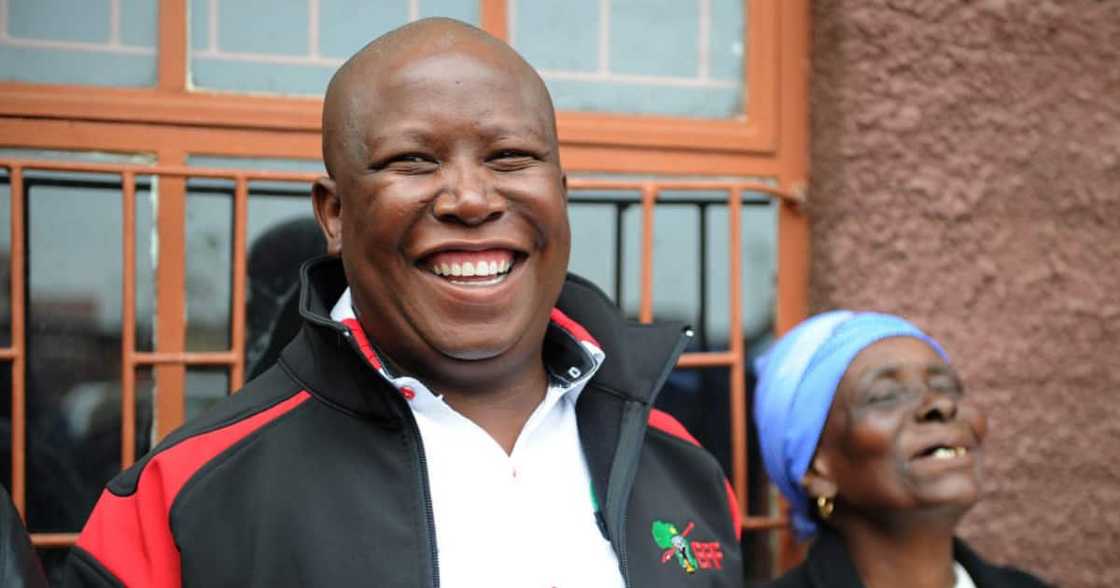 Economic Freedom Fighters, EFF, AfriForum, Julius Malema, Equality Court, Cross examination, Party, Hate speech, Controversial, Shoot the Boer, Dubul'ibhunu, Song, Mark Oppenheimer, Legal representative, Lawyer, Politician Economic Freedom Fighters, EFF, AfriForum, Julius Malema, Equality Court, Cross examination, Party, Hate speech, Controversial, Shoot the Boer, Dubul'ibhunu, Song, Mark Oppenheimer, Legal representative, Lawyer, Politician