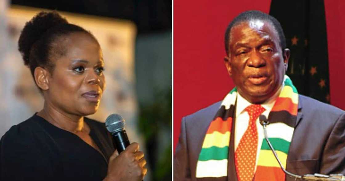 Limpopo Health MEC Phophi Ramathuba and Zimbabwean President Emmerson Mnangagwa