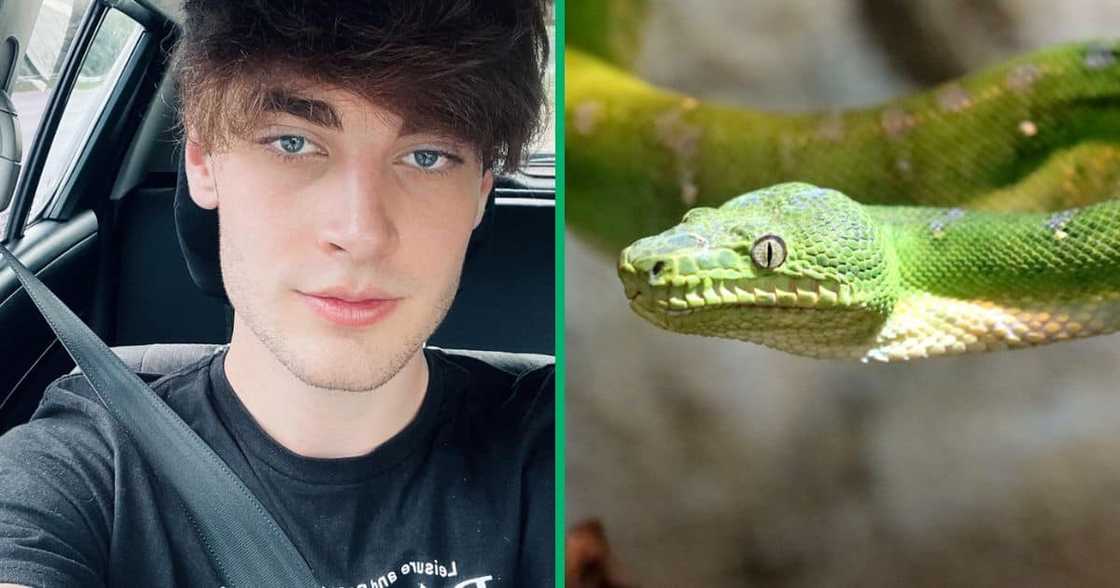 Durban homeowner shared a TikTok video of a small green snake in his bathtub. Durban homeowner shared a TikTok video of a small green snake in his bathtub.