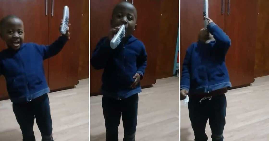 talented toddler singing talented toddler singing