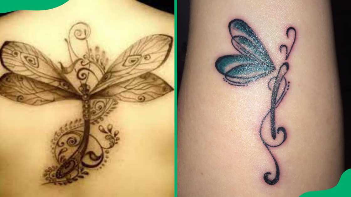 Musical notes dragonfly Musical notes dragonfly