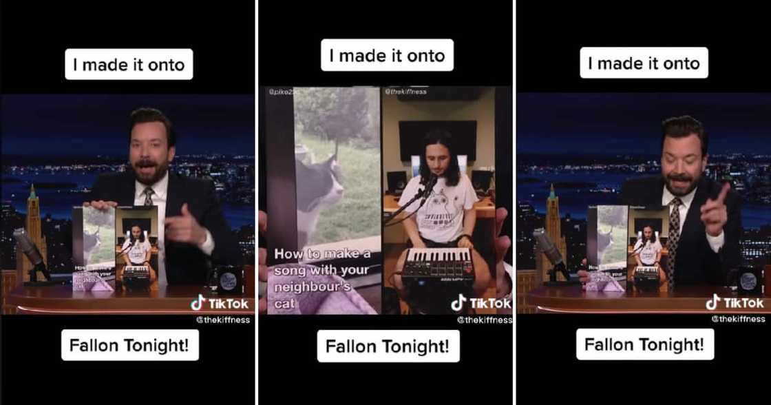 The Kiffness made a cat video that Jimmy Fallon played on his show.