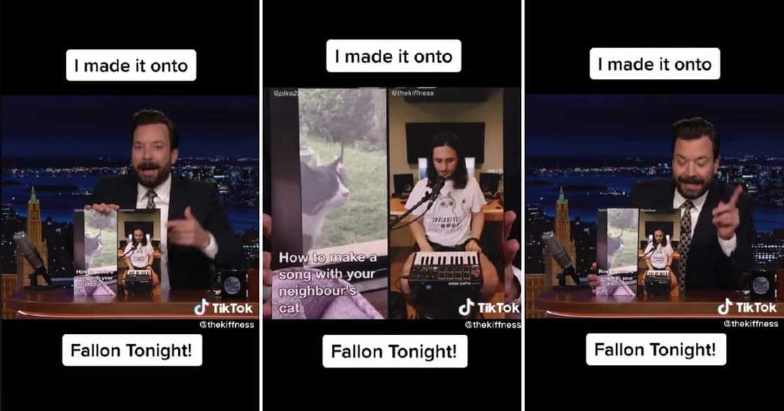 The Kiffness made a cat video that Jimmy Fallon played on his show. The Kiffness made a cat video that Jimmy Fallon played on his show.